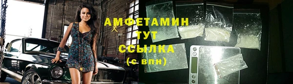 прущая мука Вяземский