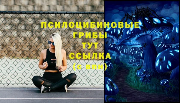 прущий лед Слюдянка
