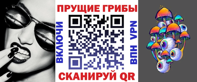 Галлюциногенные грибы прущие грибы  Тайга 