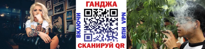 Каннабис планчик Тайга